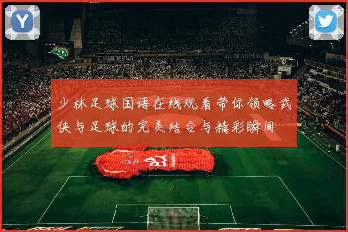 少林足球国语在线观看带你领略武侠与足球的完美结合与精彩瞬间