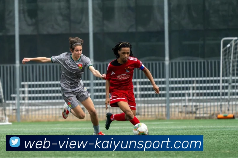 开云·体育发展历程